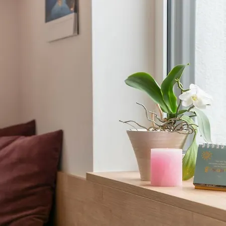 Stuwip Alps Adlerhorst *